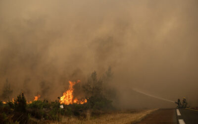 Foto: Julien de Rosa / AFP